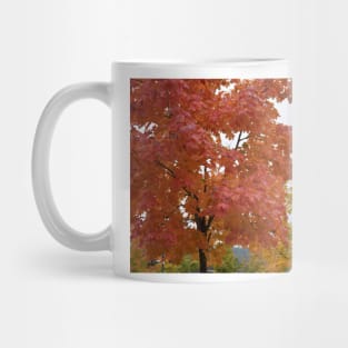 Colorful trees in Burgenland Mug